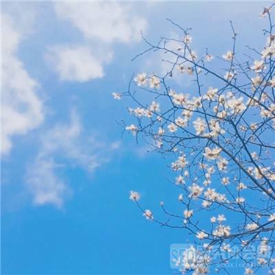 攻防卡牌手机游戏下载